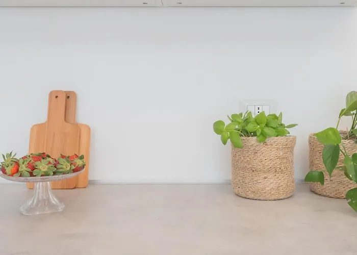 A Step From The Dome By Rent