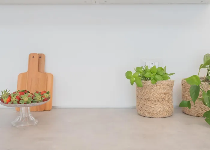 Appartement A Step From The Dome By Rent *